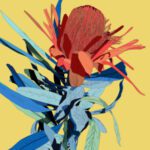 Protea Illustration with red petals and blue & green leaves on a warm yellow background