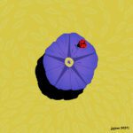 illustration of a bright purple Japanese morning glory, with a red ladybug on it, with a soft yellow background